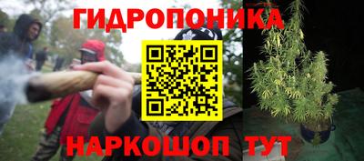 2c-b Обь